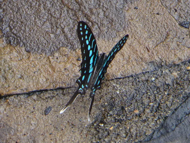 h7aa09d8.JPG