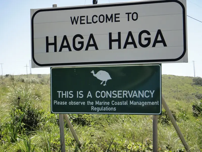 h7afce8e.JPG