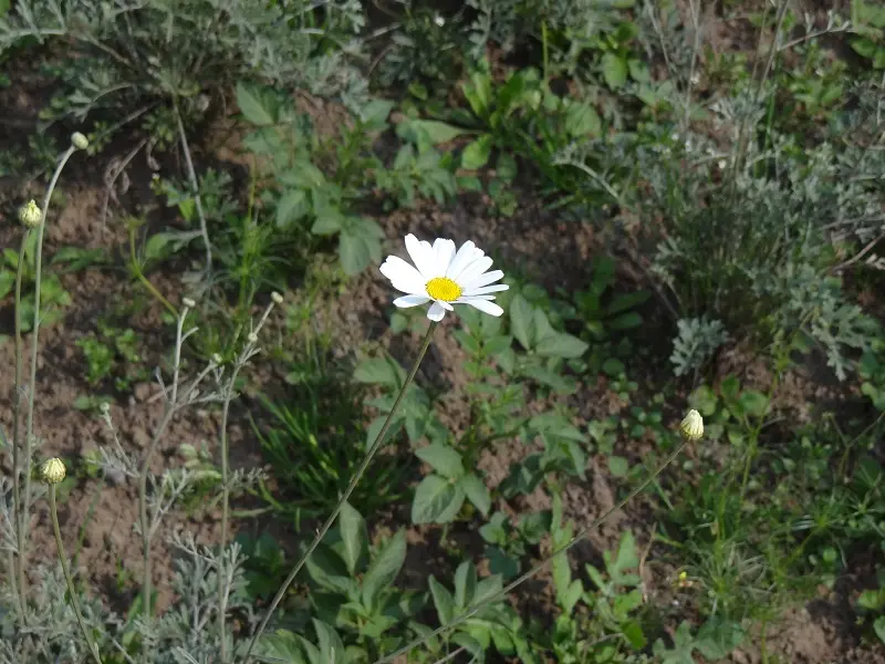 h7d497f8.JPG