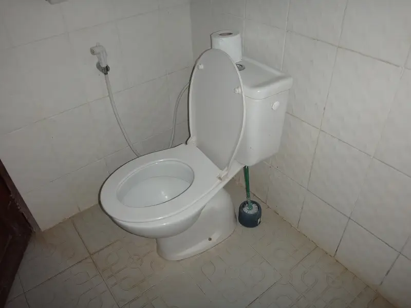 h8061719.JPG