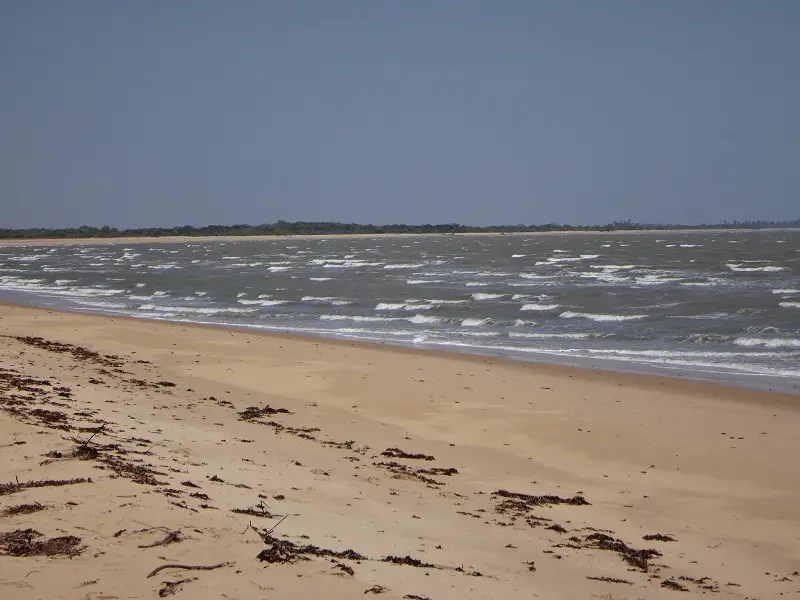 h9372716.JPG