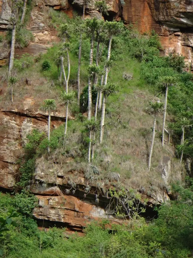 h9f90153.JPG