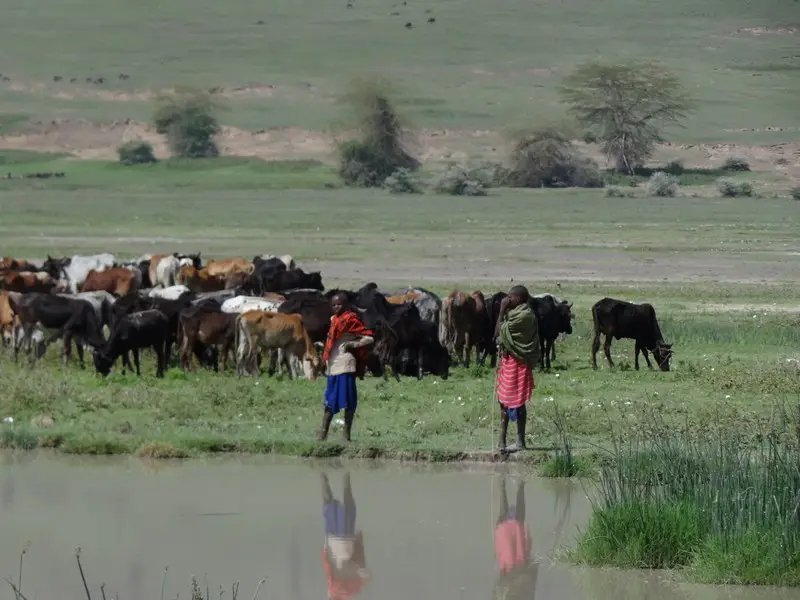ha9927da.JPG