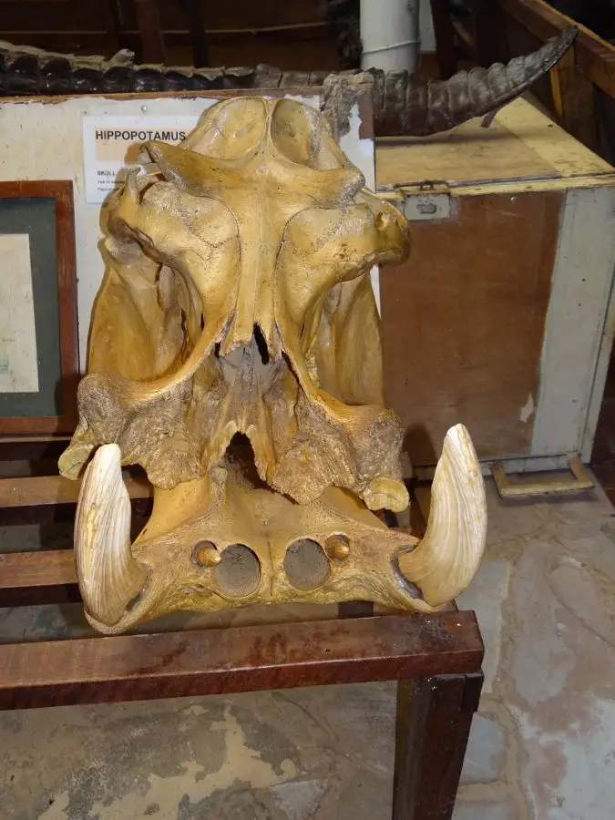 hae18d41.JPG