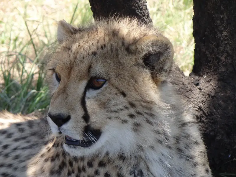 he8072c5.JPG