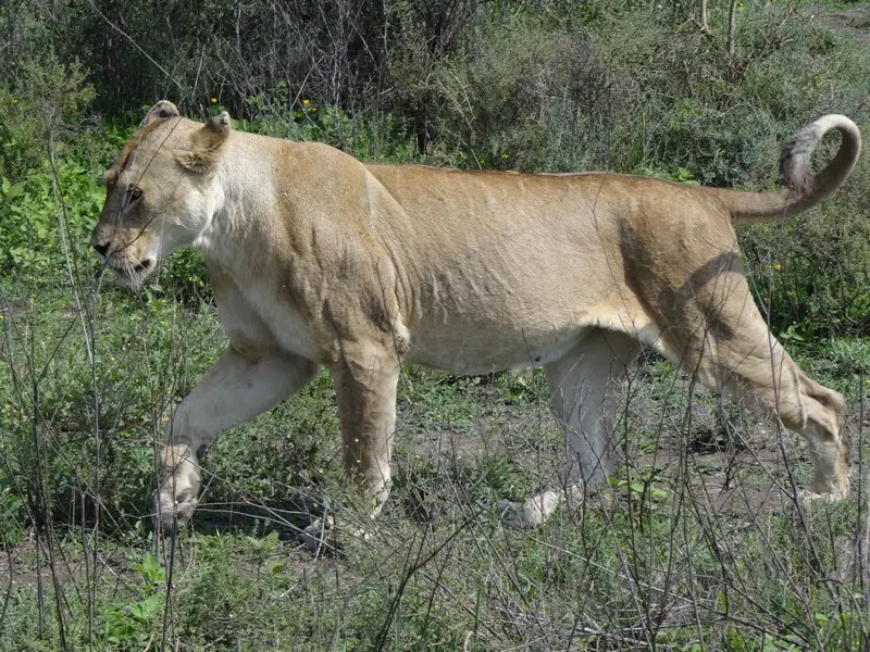 heb3b039.JPG