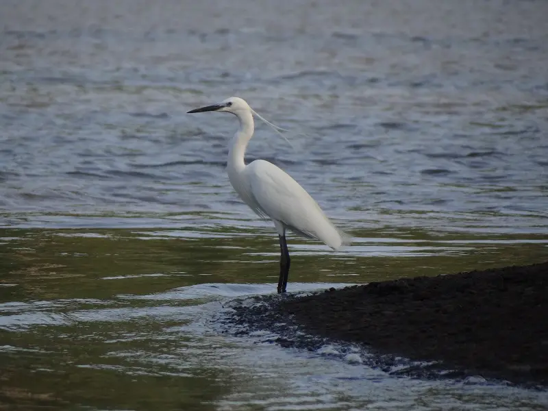 hf092818.JPG