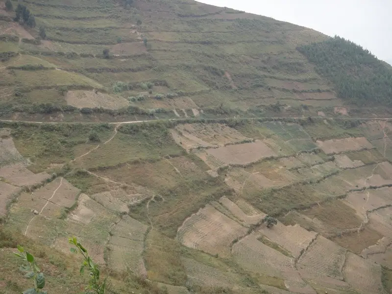 hf779769.JPG