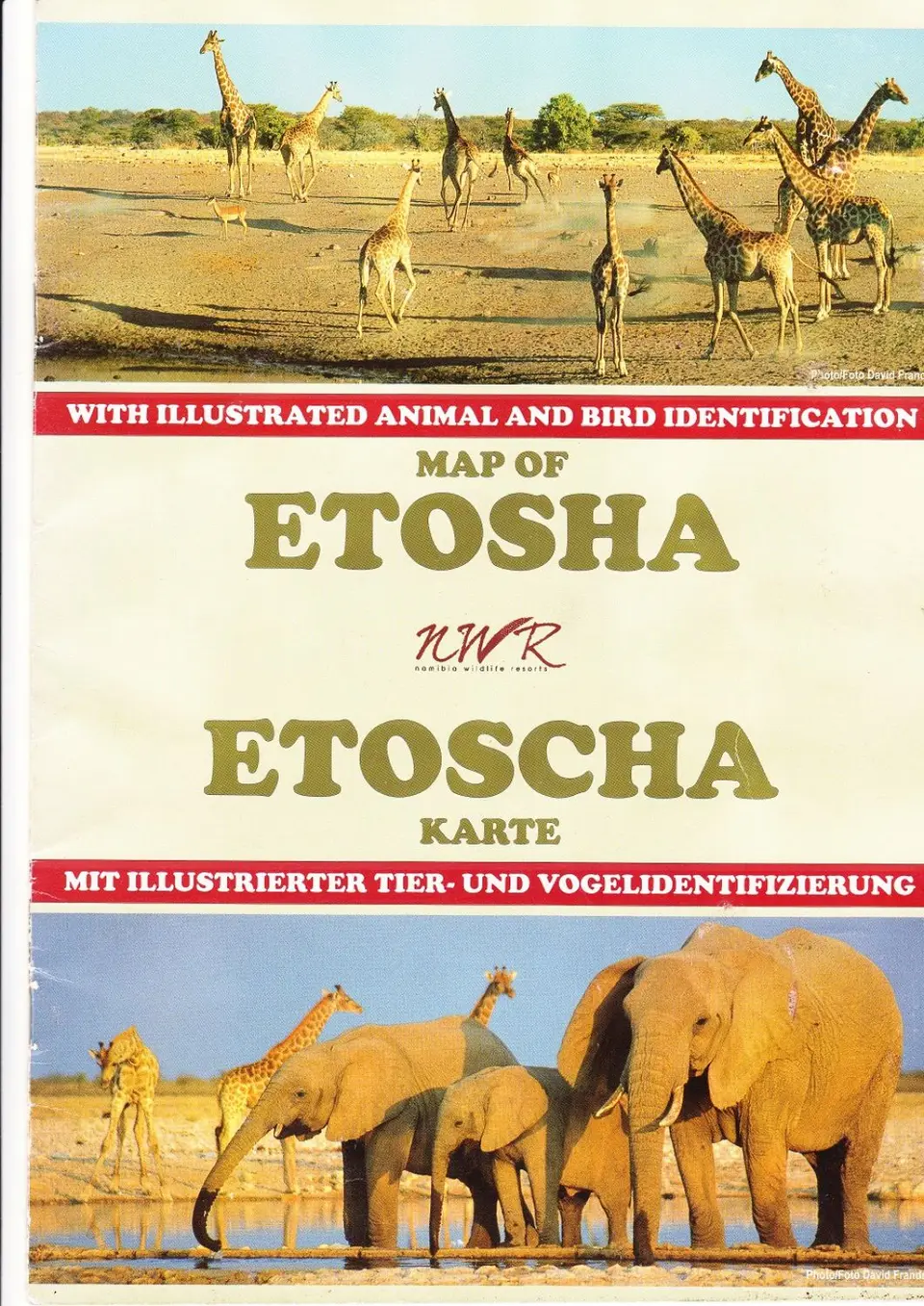 Etoscha-Broschüreklein-2-3-4.jpg