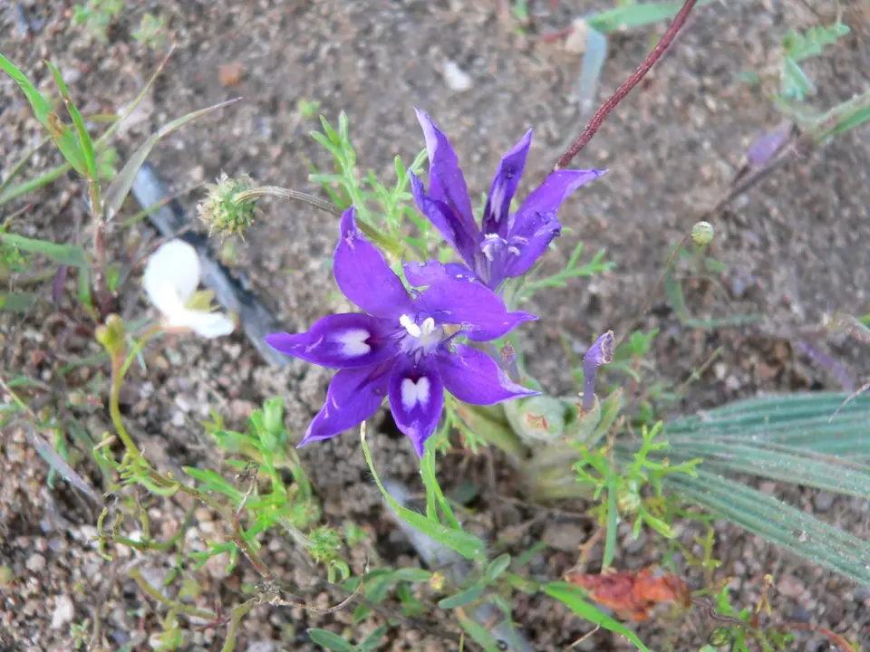 P1050937.JPG