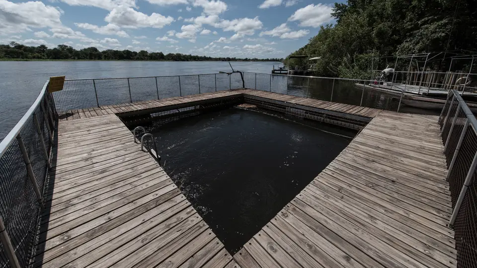 ngepi_pool.jpg