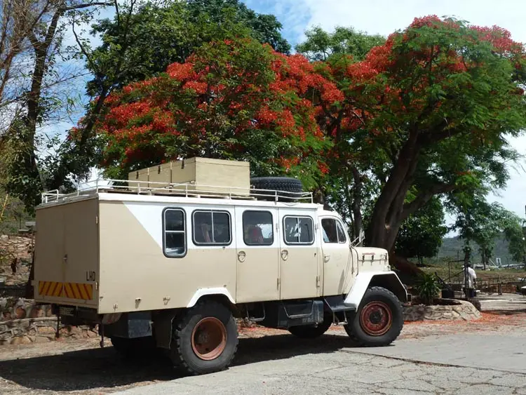 1_10-11-25_ZIM_1010.jpg