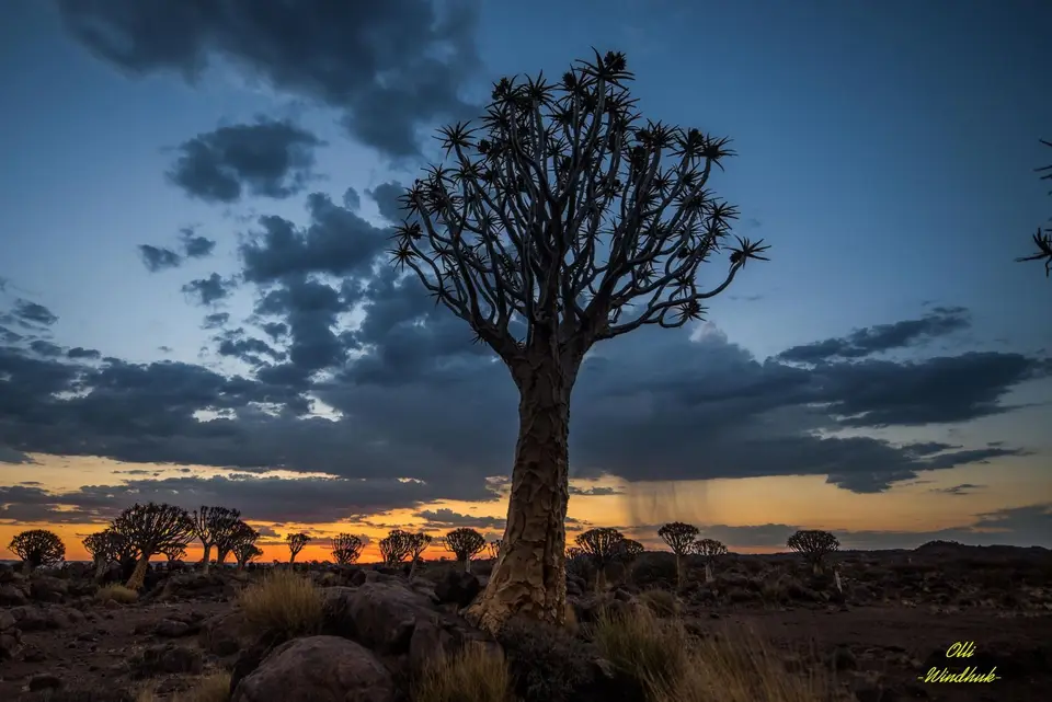 NamibiaForum-5.jpg