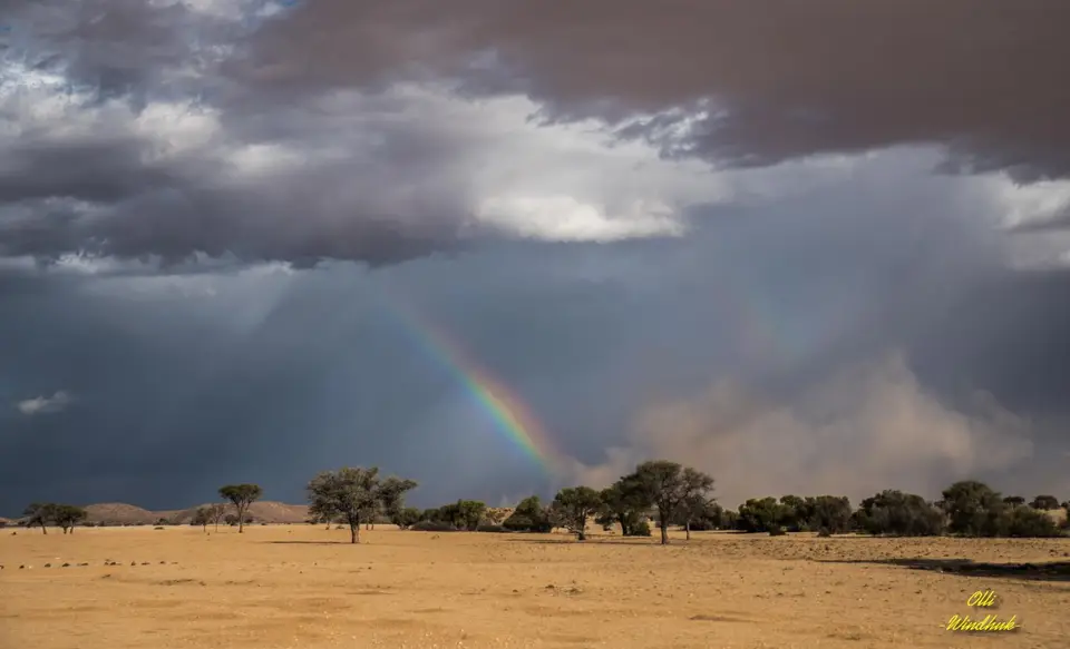 NamibiaForum-6.jpg