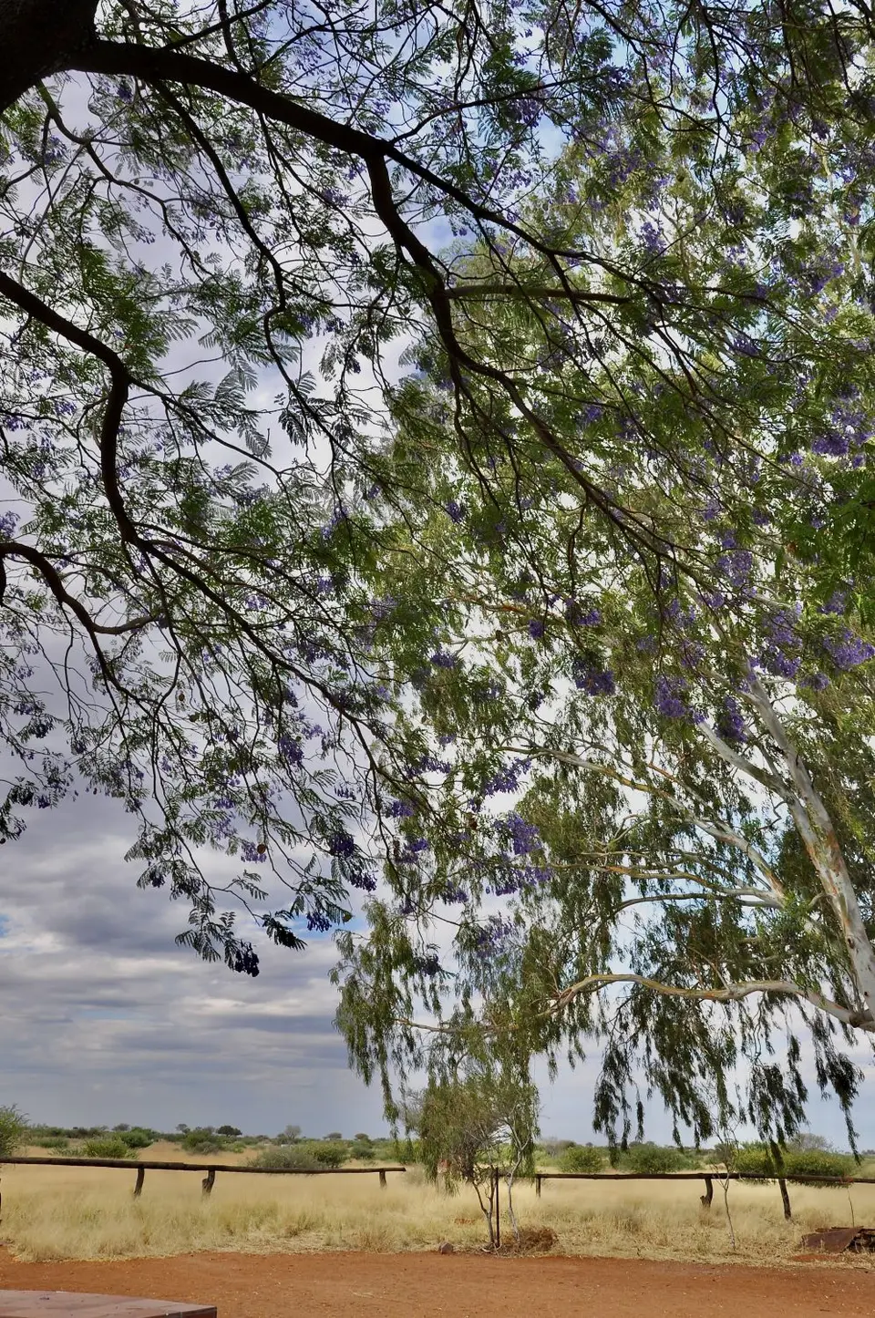 DSC_0008.jpeg