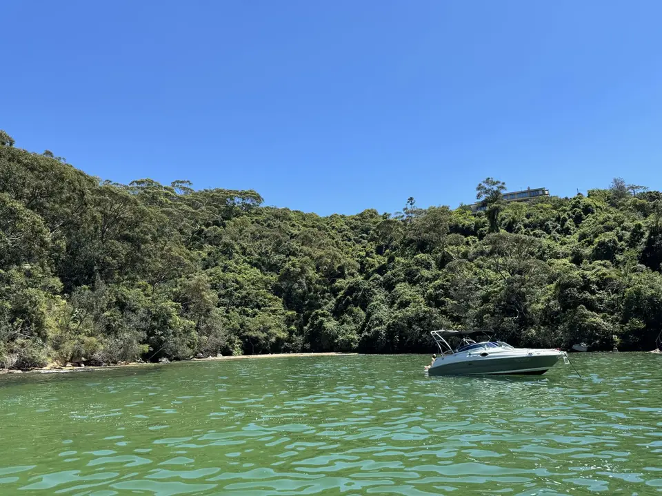 IMG_3017.jpeg