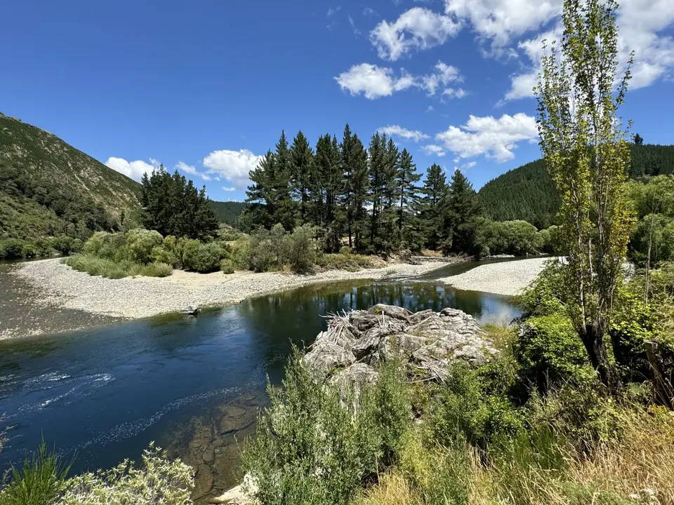 IMG_5535.jpeg