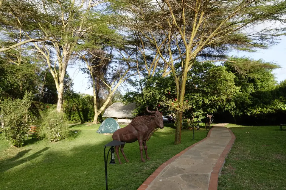 004WildebeastCamp1.JPG