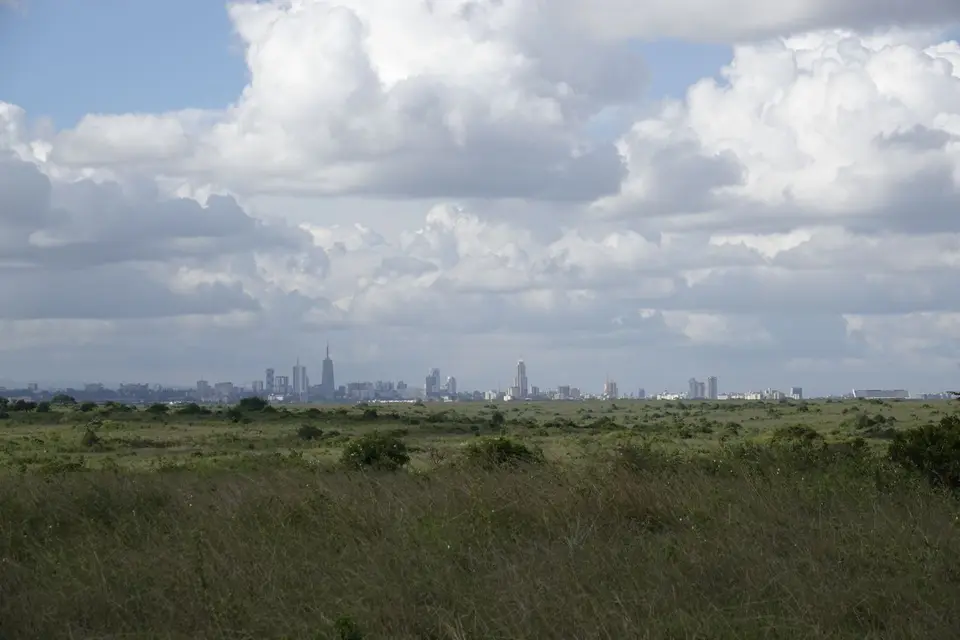 028Skyline.JPG