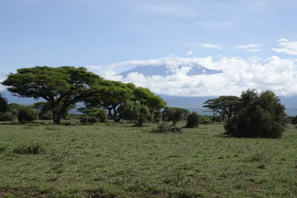 033AmboseliKibo.JPG