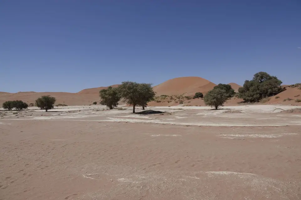 102Sossusvlei.jpg