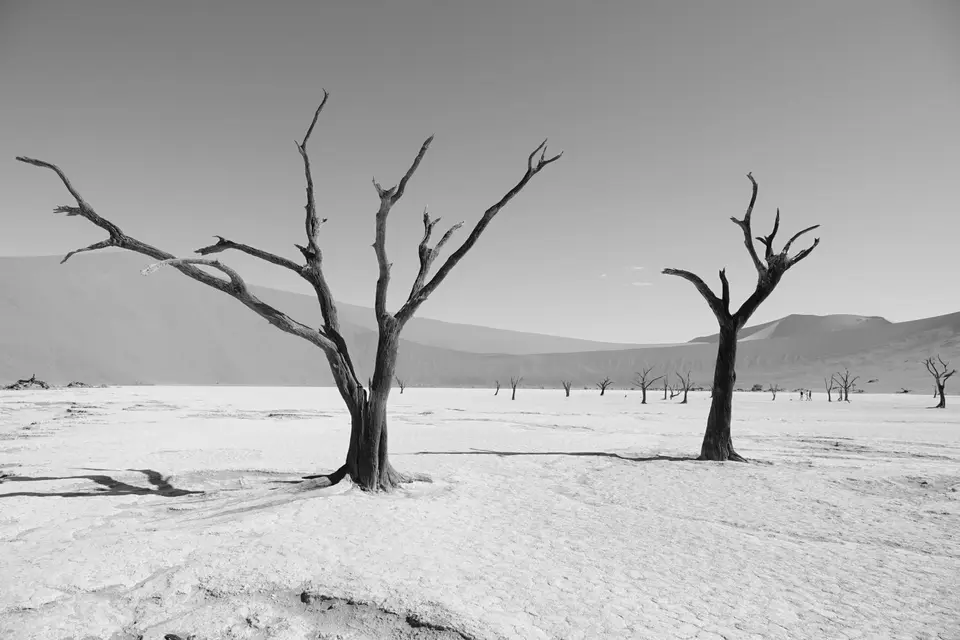 113SWimDeadvlei1.jpg