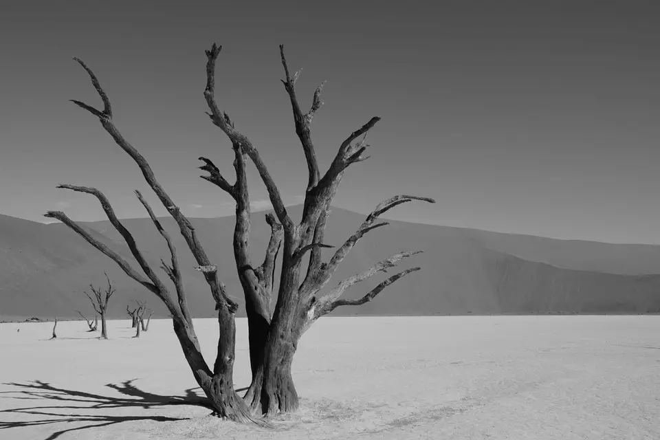 114SWimDeadvlei2.jpg