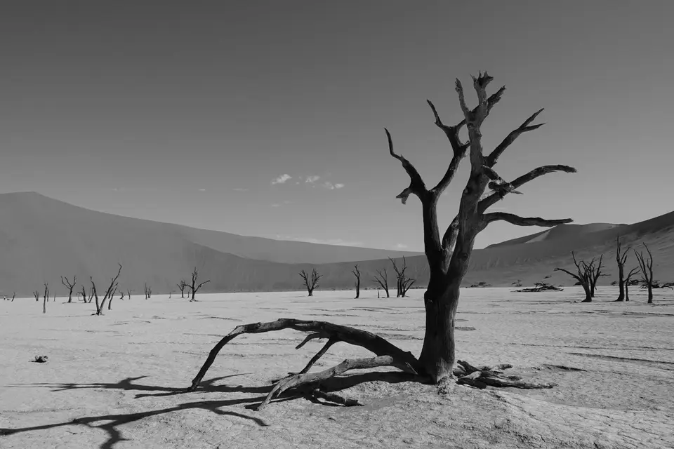 115SWimDeadvlei3.jpg