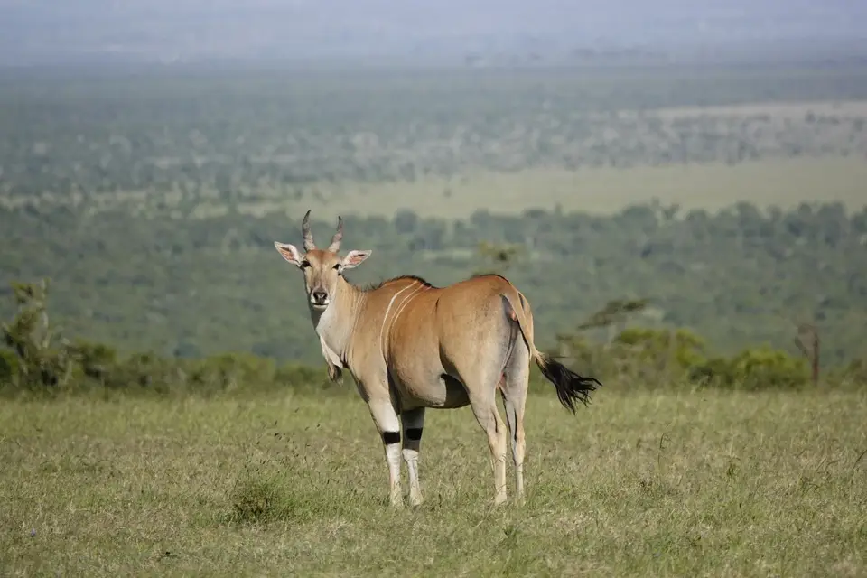 12-2-3-4-5-6.JPG