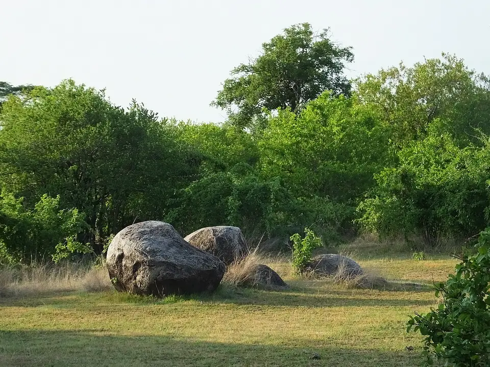 120Findlinge.jpg