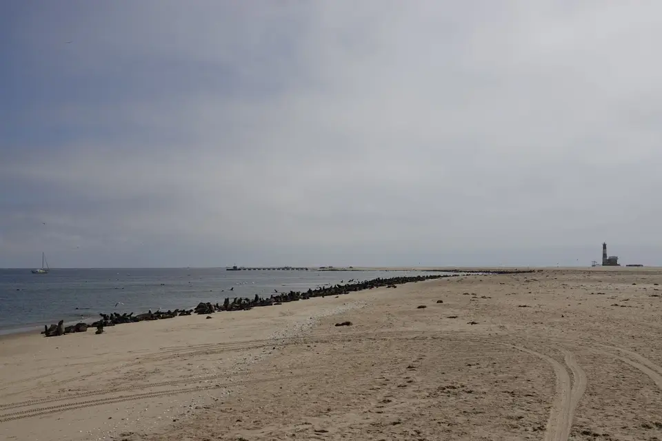 130RobbenkoloniemitLeuchtturm.jpg