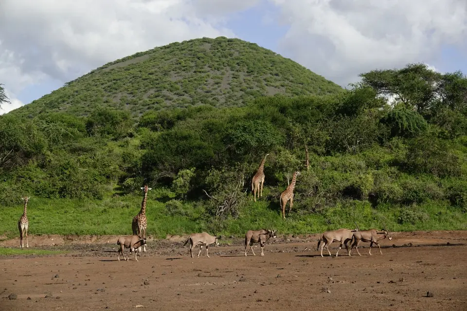 139GiraffenamHang.JPG