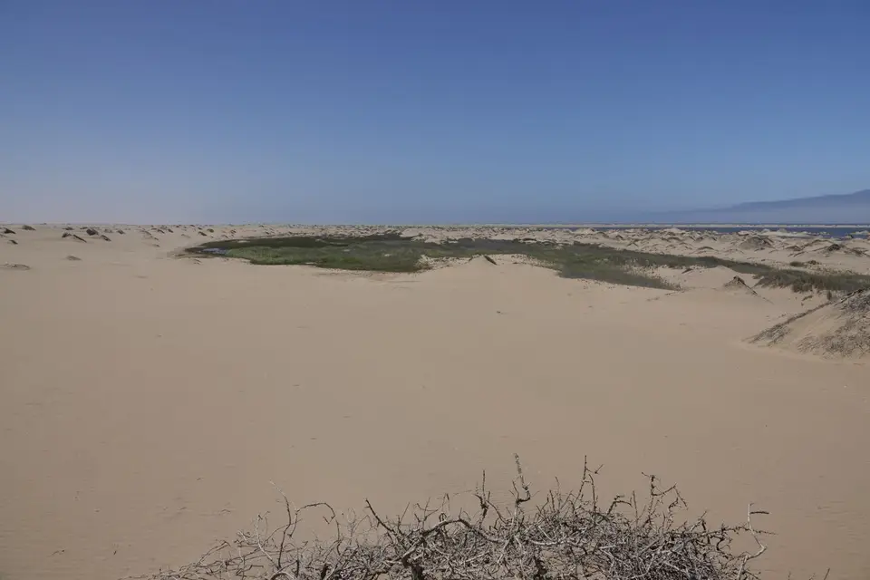 151imKuisebDelta.jpg