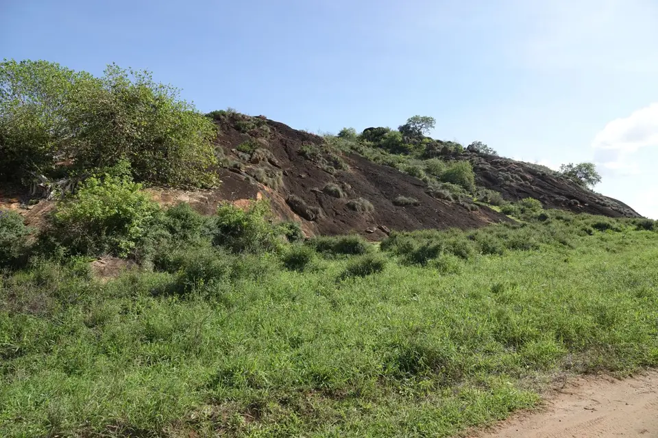 156LionsRock.JPG