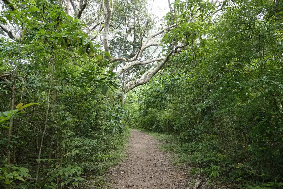 195Weg.JPG