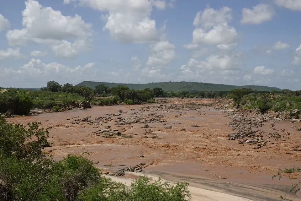 219CrocodilePoint.JPG