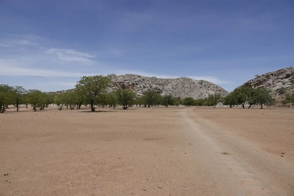 260SerengetiPlains1.jpg