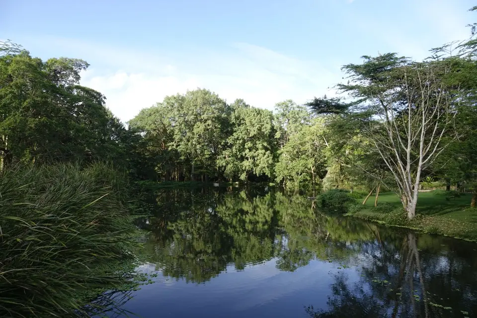 271Teich.JPG