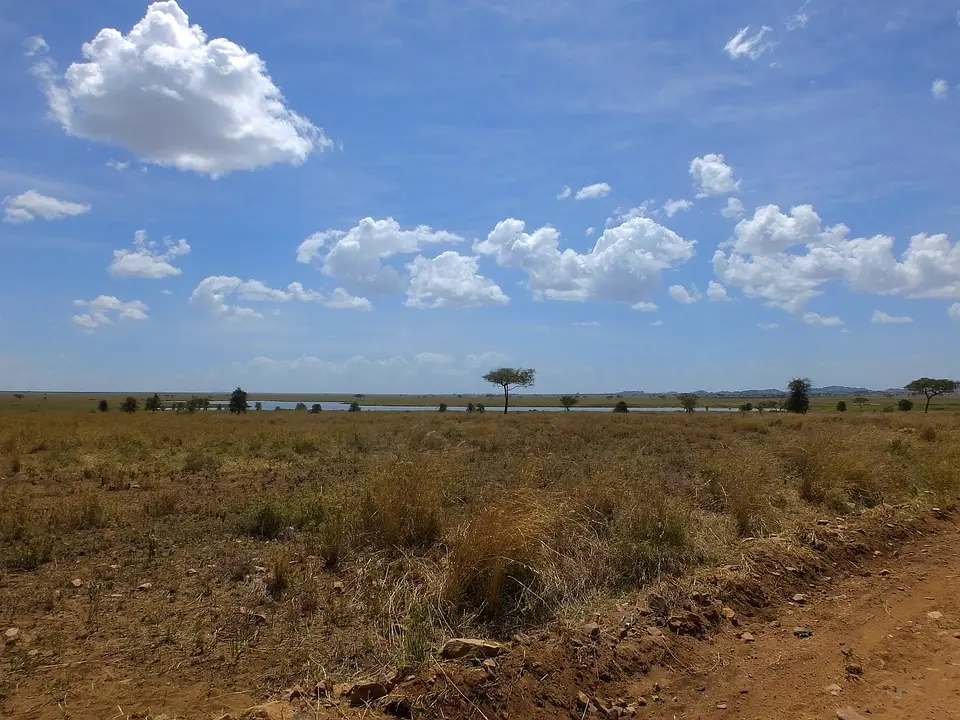 349LakeMagadi.jpg