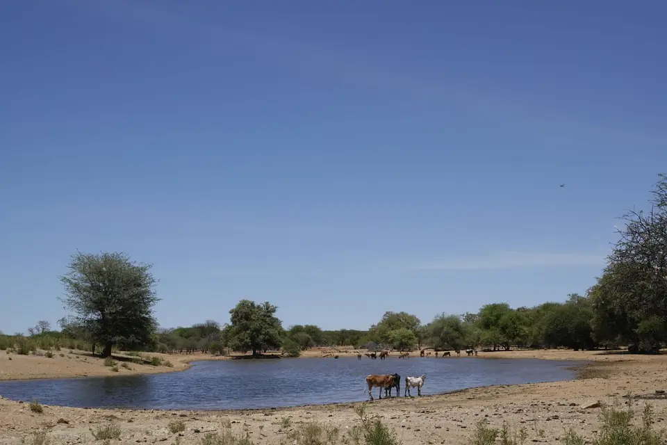 388Wasserstelle.jpg