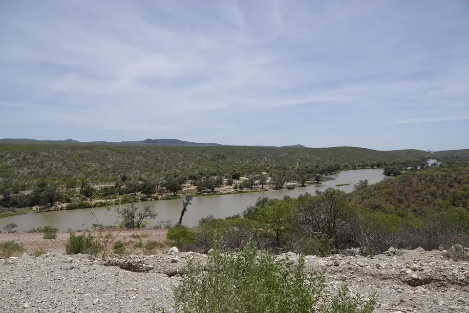 401Kunene2.jpg