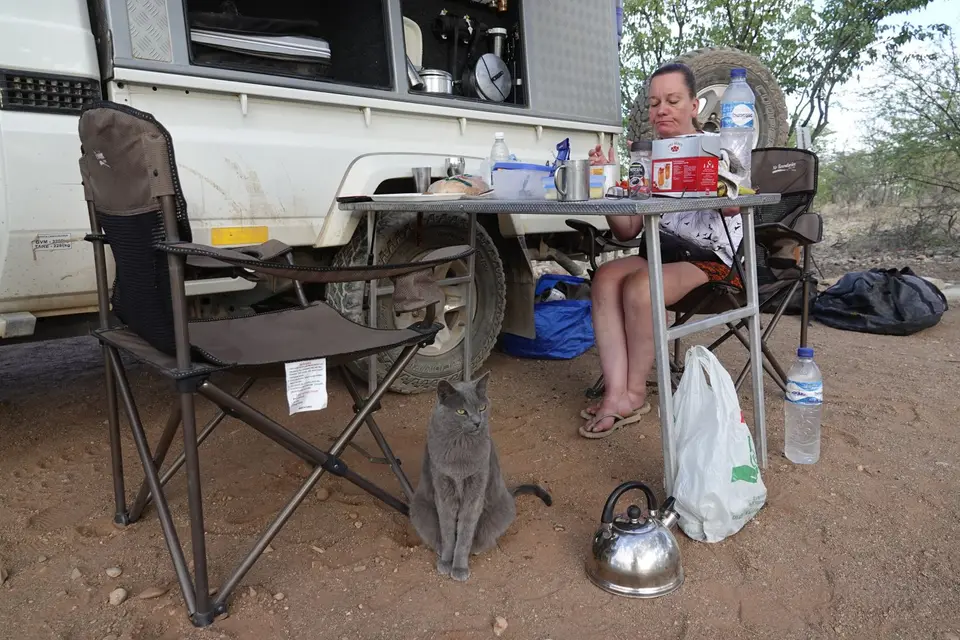 411Katze1.jpg