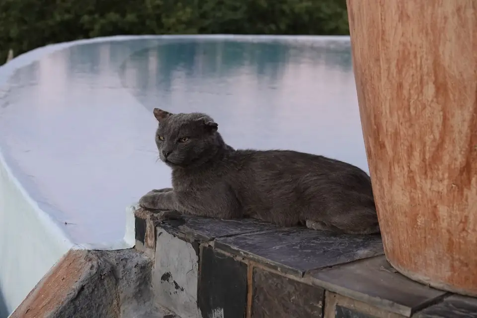 414Kater.jpg
