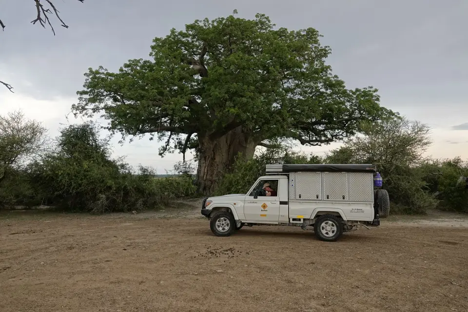 540LCvorBaobab.jpg