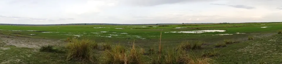 541aPanoramaOkavango1.jpg