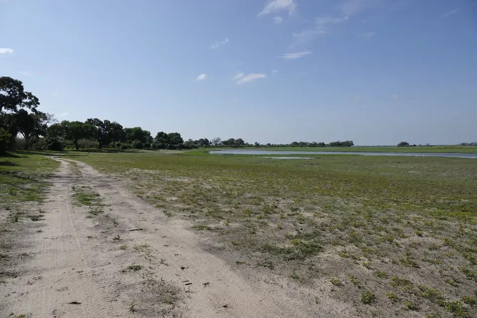 558WegentlangderFloodplains1.jpg