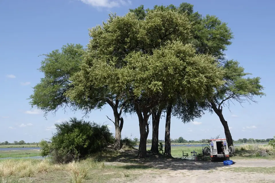 564Picknickplatz.jpg