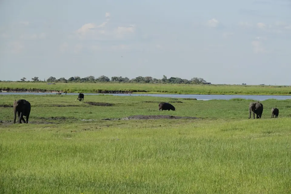 609Floodplainbewohner.JPG