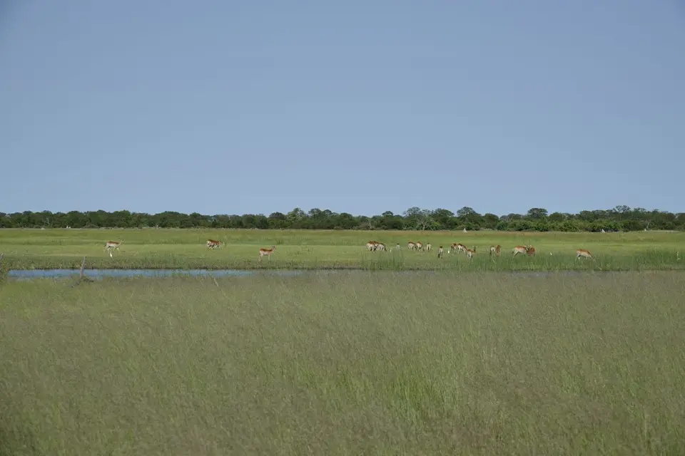 849LechwesamWasser.JPG