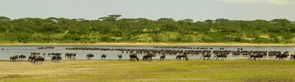 CrossingLakeNdutu.jpg